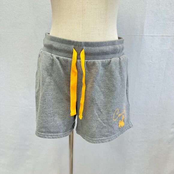 Champion Y2k University of Wyoming sweat shorts women's size medium - Picture 1 of 15